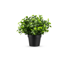 Kunstplant photonia - 22cm