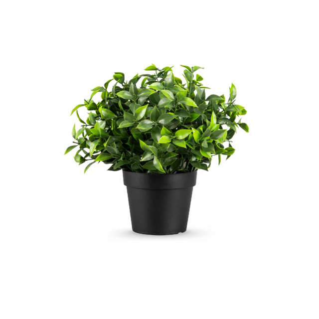 Kunstplant photonia - 22cm