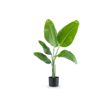 Kunstplant strelitzia - 90cm