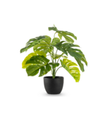 Kunstplant monstera - 55cm