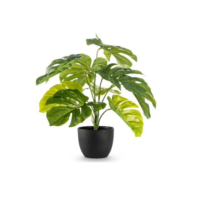 Kunstplant monstera - 55cm