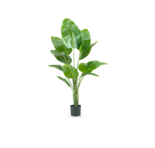 Kunstplant strelitzia - 150cm