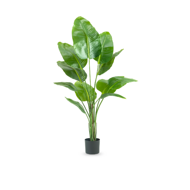 Kunstplant strelitzia - 150cm