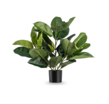Kunstplant rubberplant - 51cm