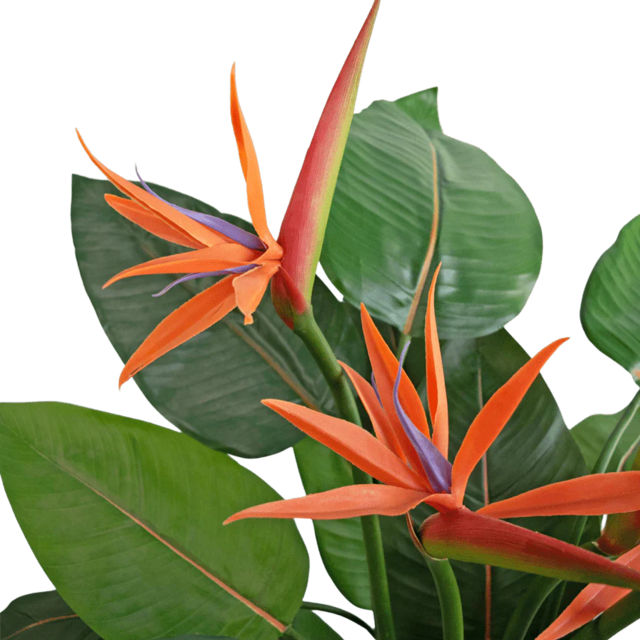 Kunstplant strelitzia inclusief bloemen - 120cm