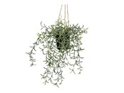 Kunsthangplant senecio - 35cm