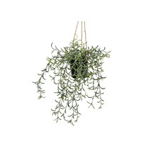 Kunsthangplant senecio - 35cm