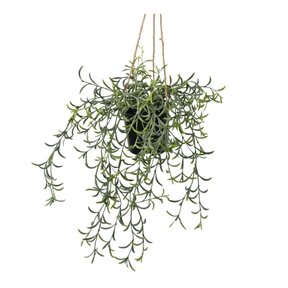Kunsthangplant senecio - 35cm