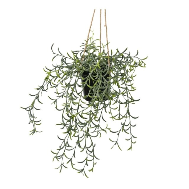 Kunsthangplant senecio - 35cm