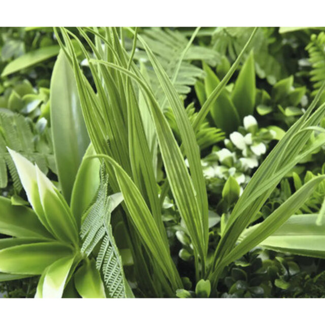 Foodcourt market - Groenrijk