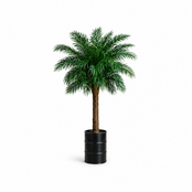 Olieton met palmboom