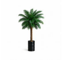 Olieton met palmboom
