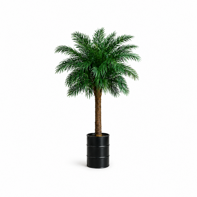 Olieton met palmboom