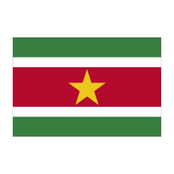 Big Benz foodtruck - Surinaamse streetfoodmenu