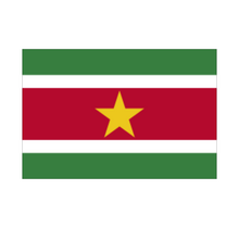 Big Benz foodtruck - Surinaamse streetfoodmenu