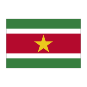Streetfoodtruck -  Surinaamse streetfoodmenu