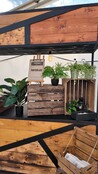 Kunsthangplant pumila - 55cm