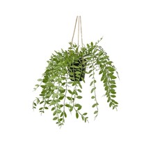 Kunsthangplant pumila - 30cm