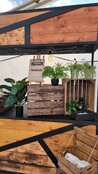 Kunsthangplant pumila - 30cm