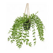 Kunsthangplant pumila - 30cm