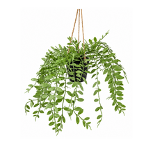 Kunsthangplant pumila - 30cm