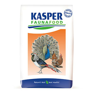 Kasper Gallus 3 onderhoudskorrel