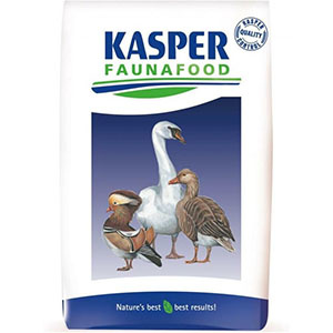 Kasper Anseres 3 Onderhoudskorrel