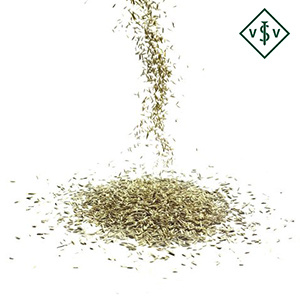 Ten Have Schaduw graszaad