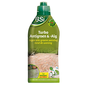 BSI Algendoder