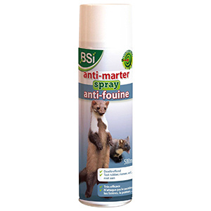 BSI Anti-marterspray