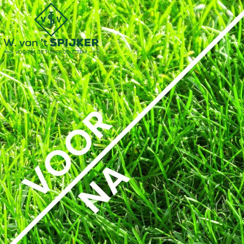 Tuinadvies februari: Kalk strooien