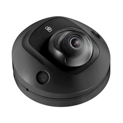 2Mpx TruVision IP Wedge camera met vast objectief 2,8mm. zwart