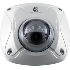 TruVision Wedge 3MP grau Mini-Dome-Kamera mit Infrarot-2,8mm