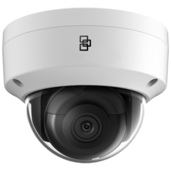 Truvision TVGP-M01-0201-DOM-W IP-Domekamera 2 MP