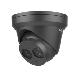 Truvision TVGP-M01-0201-TUR-B IP Turret camera 2 Mp