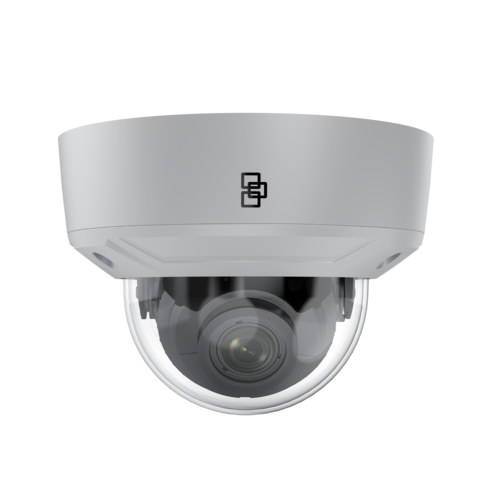 Truvision Truvision TVGP-M01-0202-DOM-G IP dome camera 2 Mp