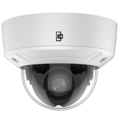 Truvision TVGP-M01-0202-DOM-W IP dome camera 2 Mp