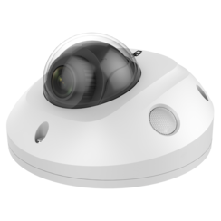 Truvision TVGP-M01-0401-WED-W IP wedge camera 4 Mp