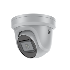 Truvision TVGP-M01-0402-TUR-G IP turret camera 4 Mp