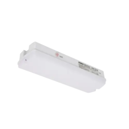 ROBUS ROBUS R8MLEDTS-01 Noodverlichting bulkhead