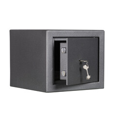 Der Raat 081040001 DRS Eurolite 10K