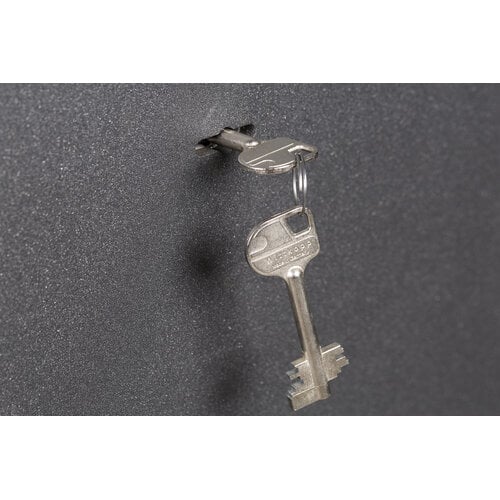 De Raat Der Raat 081040401 DRS Eurolite 65K