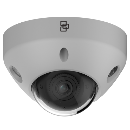 Truvision Truvision TVN1204CS-1T-K02-2W-G Rekorder 4 Kanäle & 2x Vollfarb-Keilkamera 4 Mp