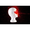 TW1000 TW1000 FARB-GEL- SPRAY TIW Abschreck- und Markierungsspray - Rot