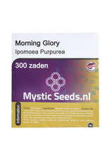 Morning Glory zaden (Ipomoea Purpurea) - 300 zaden