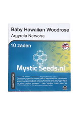 Baby Hawaiian Woodrose seeds (Ipomoea Purpurea) - 10 seeds