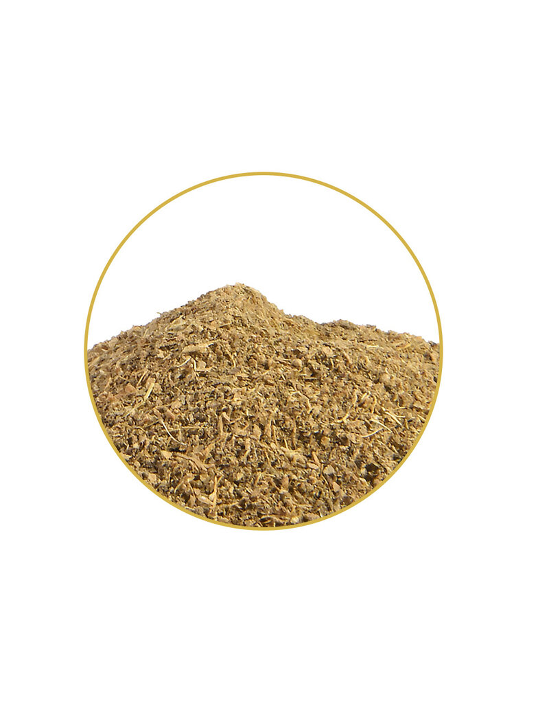 Kanna 10x extract (Sceletium tortuosum) - 1 gram