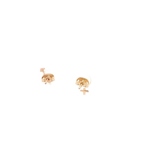 Earrings gender goldplated