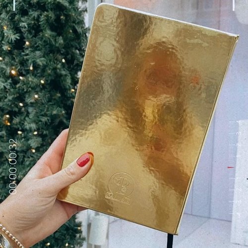 You are gold notebook