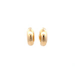 Earrings hoops small gold coloured Earrings hoops small gold coloured